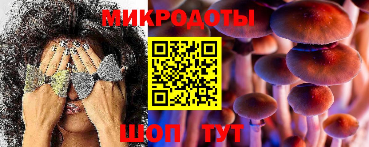 Псилоцибиновые грибы ЛСД  Вход с VPN  Михайловск  Псилоцибиновые грибы Cubensis 
